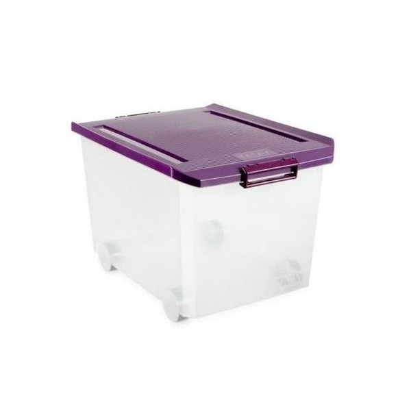 CAJA ORDEN BAJO CAMA 37X40,5X55CM 60LT C/RDA PL MO