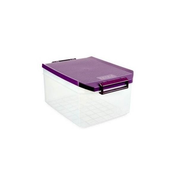 CAJA ORDEN MULTI 19X27,5X38,5CM 14LT PL MOR TATAY